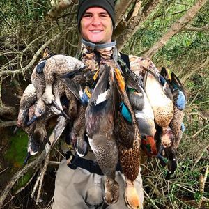 Meet your Posher, Carson