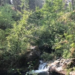 Meet your Posher, Brandi