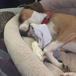 Meet your Posher, Andre