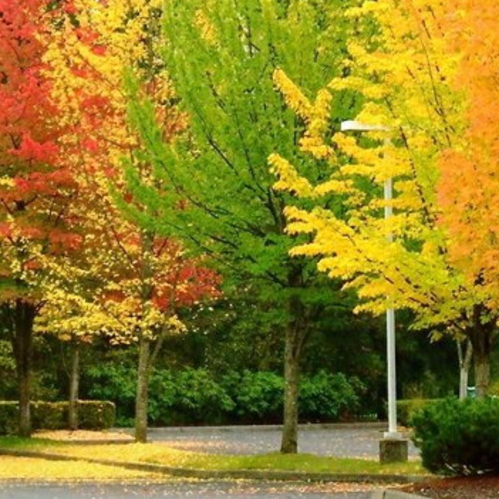 Meet your Posher, Vicki