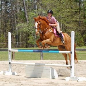 Meet your Posher, Danielle