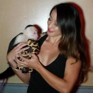 Meet your Posher, Tory