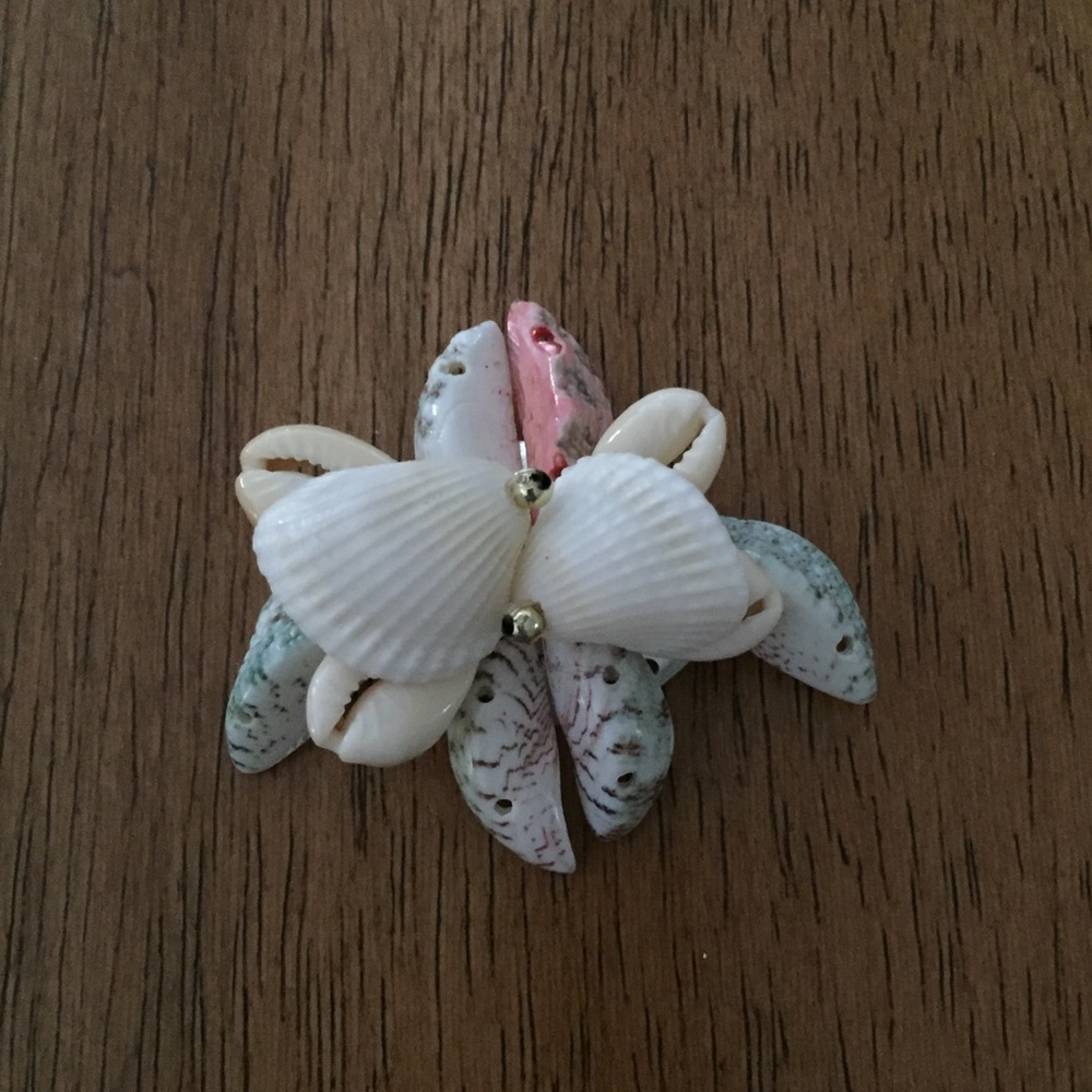 Seashell Brooch