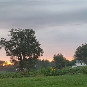 Meet your Posher, Selena