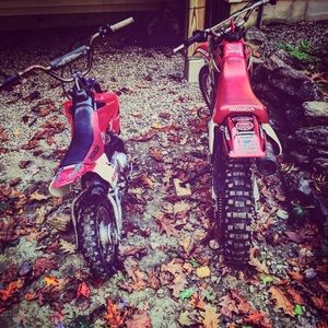 Meet your Posher, Owen