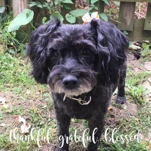 Meet your Posher, Jay