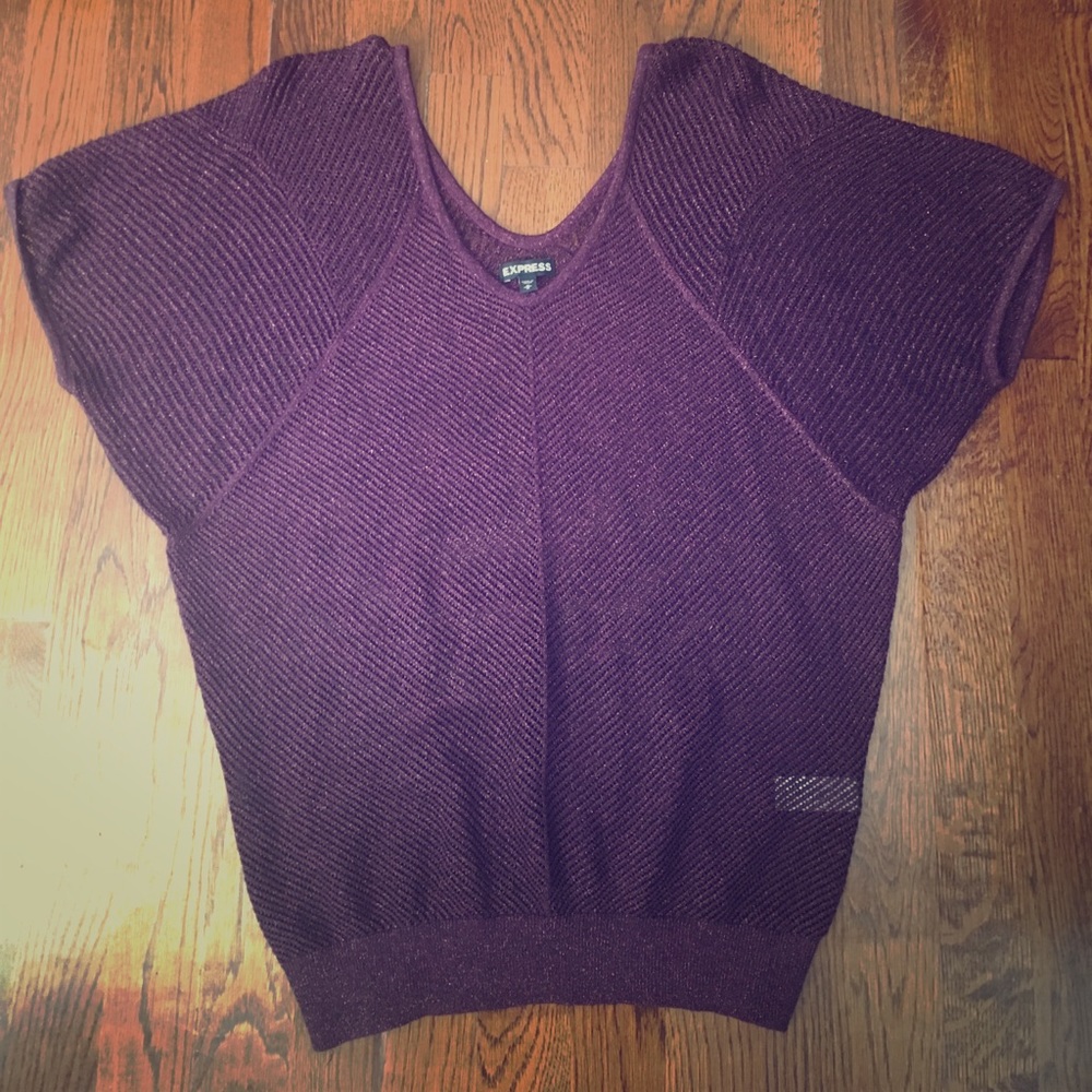 Sparkly Express sweater with dolman sleeves