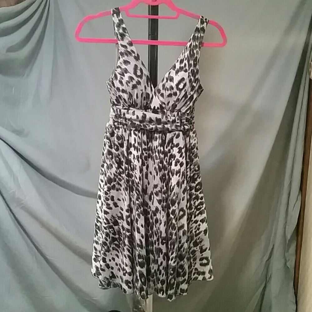 Charlotte Russe  dress