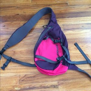Pink and purple small Patagonia backpack