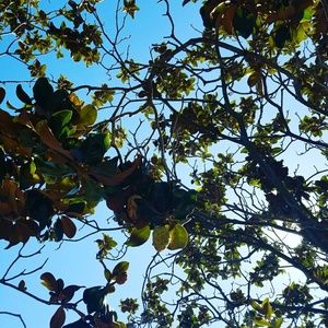 Meet your Posher, Kennedy