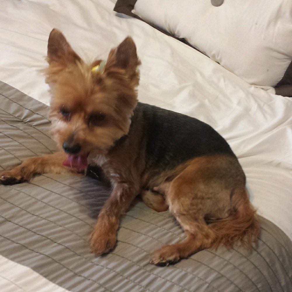 Meet your Posher, Elaine