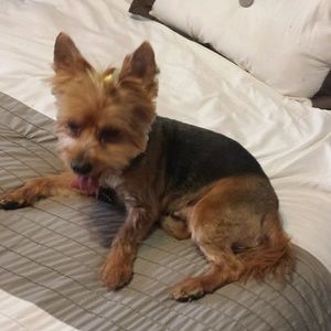 Meet your Posher, Elaine