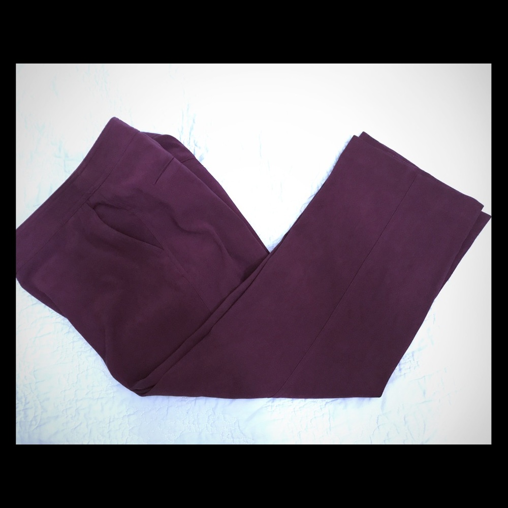 Petite! Eggplant Microsuede Dress Slacks G1