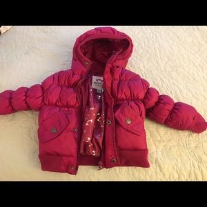 Appaman mini winter coat 12-18m