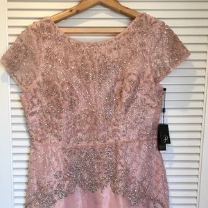 Party Wear Long Dress ( Adrianna Papell )