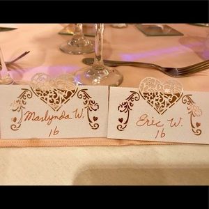 180 Guest name placement cards