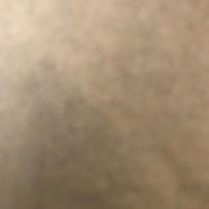 Meet your Posher, Elaine