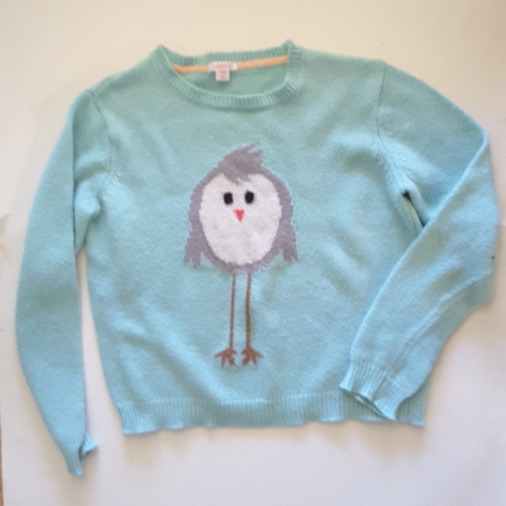 Exhilaration sweater