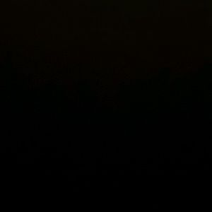 Meet your Posher, Kizzie