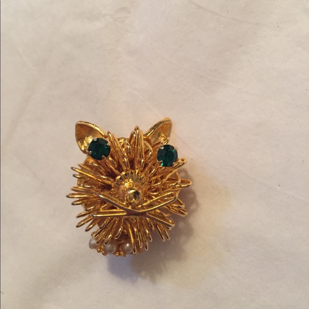🐱 Funky Cat Pin 🐱