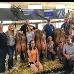 Meet your Posher, Anna