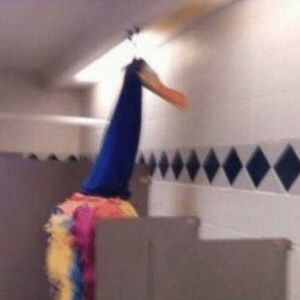 Meet your Posher, Jake