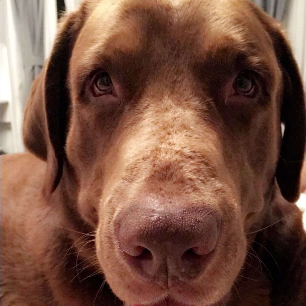 Meet your Posher, Marina