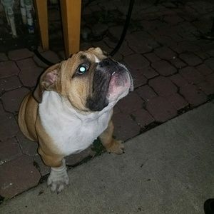 Meet your Posher, Melody