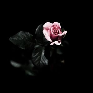 Meet your Posher, Meredith