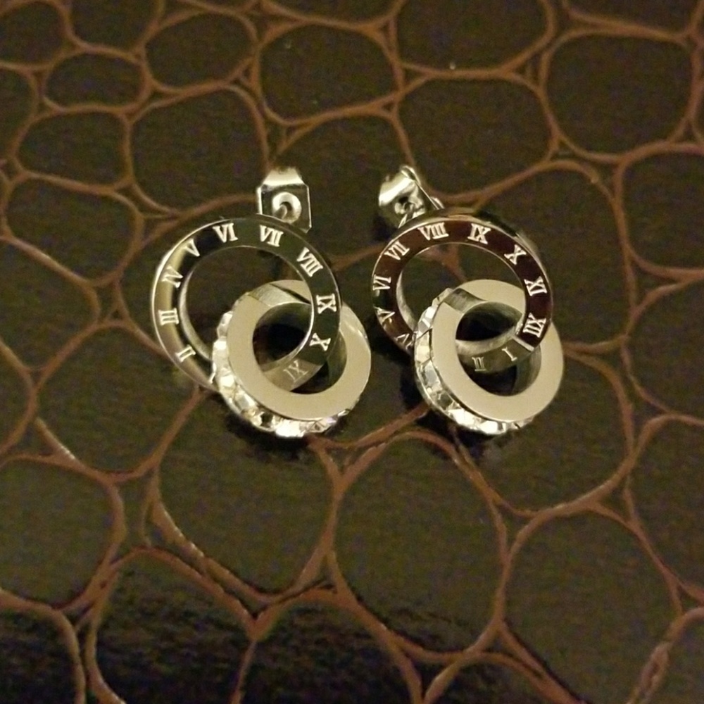 Beautiful Titanium Earrings NWOT