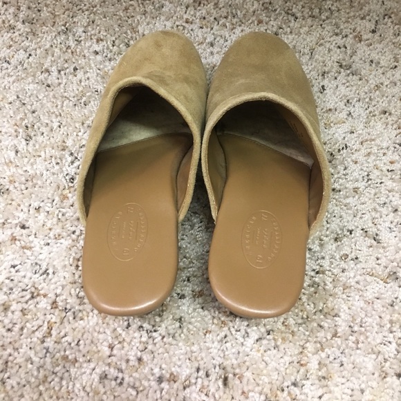 Brand new AE clogs - Picture 3 of 6