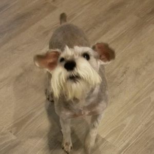 Meet your Posher, Candace