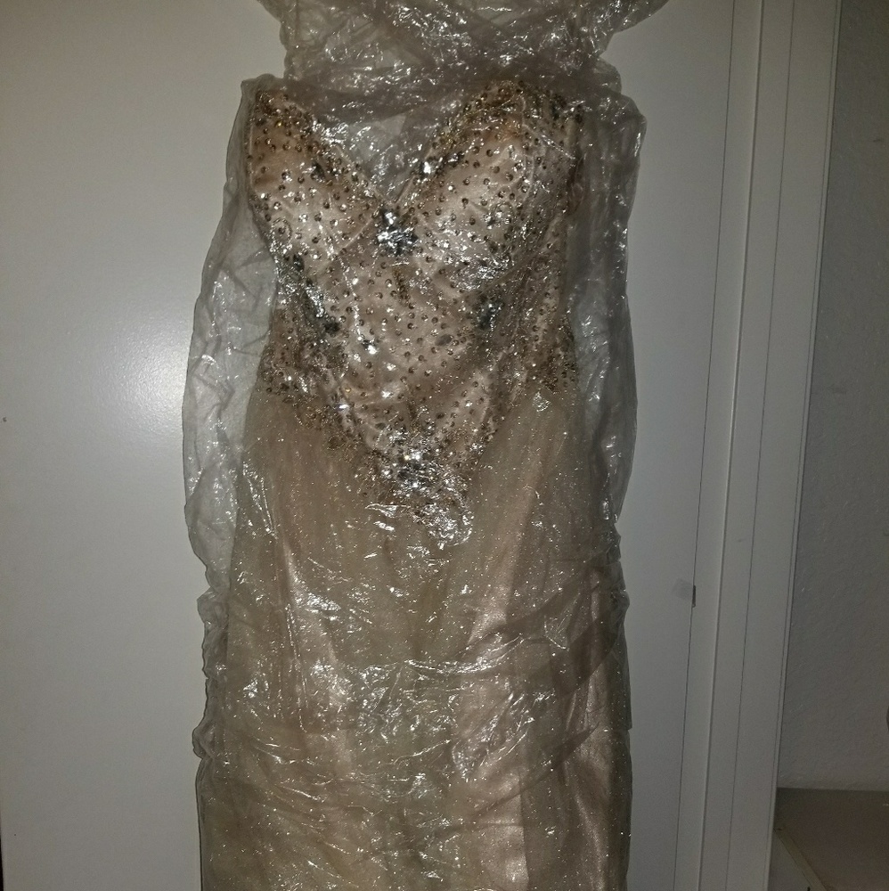 Sweet 16 dress or Quinceañera