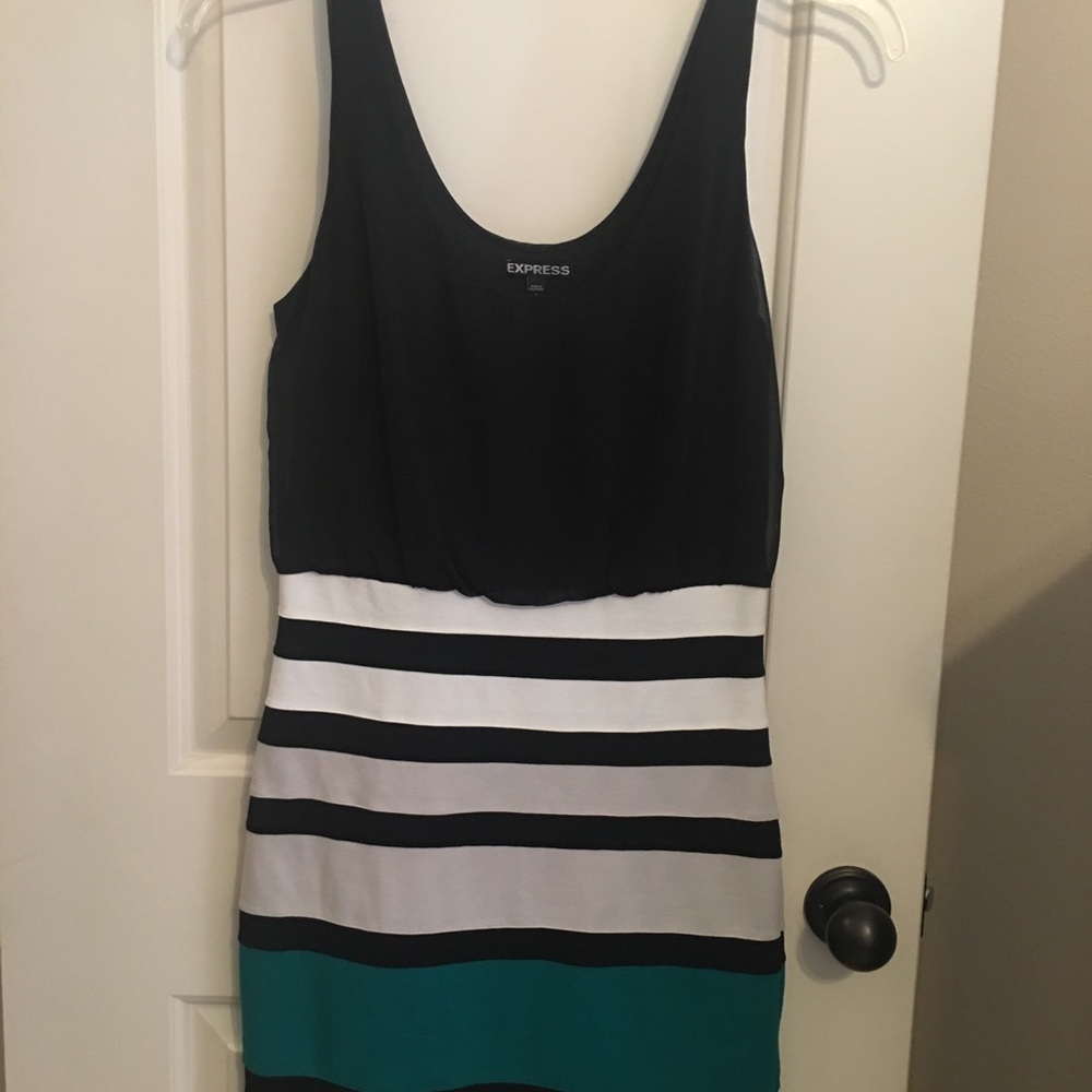 Fitted Express Mini Dress