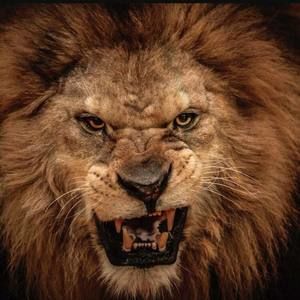 Meet your Posher, Kenji