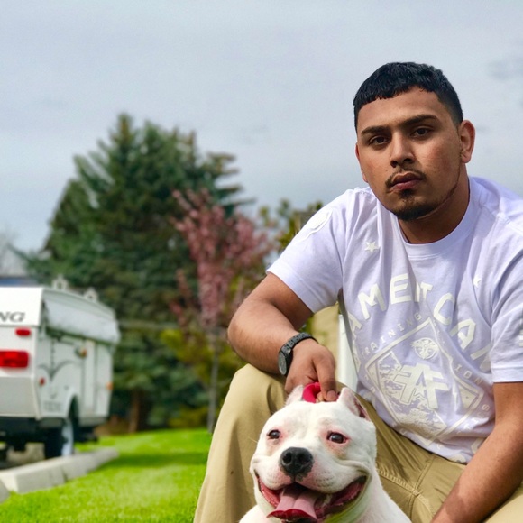 Meet your Posher, Lorenzo - Picture 1 of 1