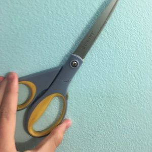 Scissors