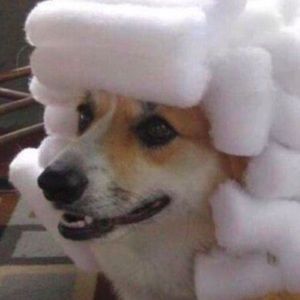 Meet your Posher, Lindsey