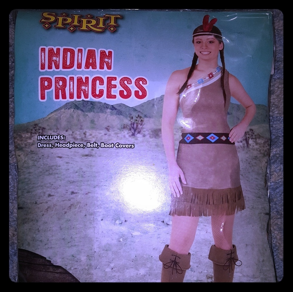 Indian princess costume
