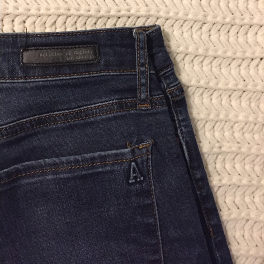 Articles of Society Los Angeles Skinny Jeans