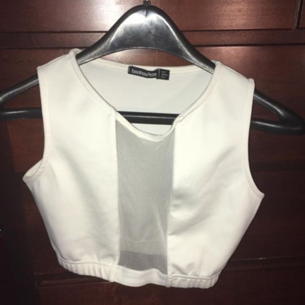 Sheer Crop Top