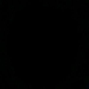 Meet your Posher, Butch