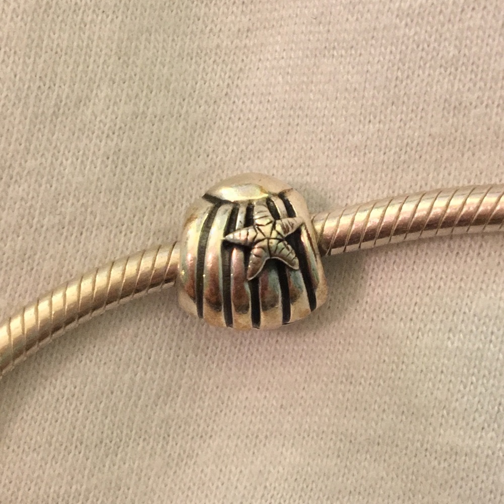 Pandora charm