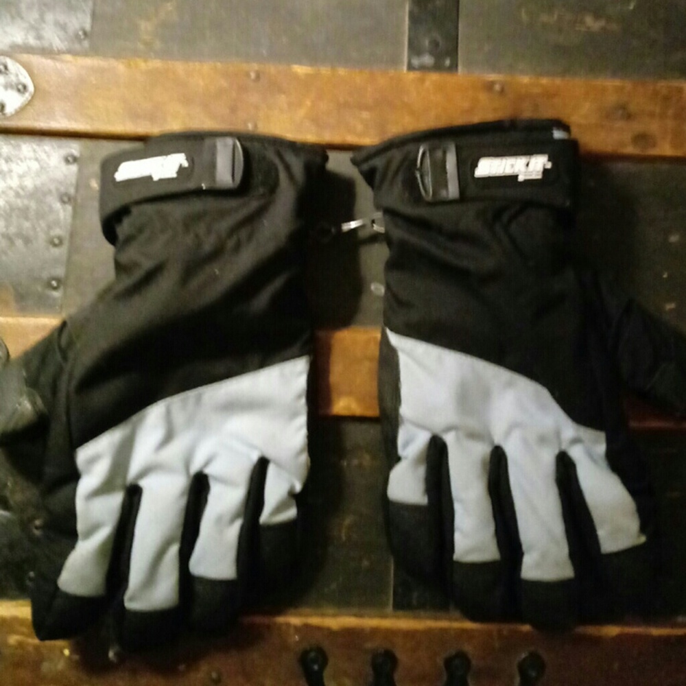 Ski Gloves - image 1