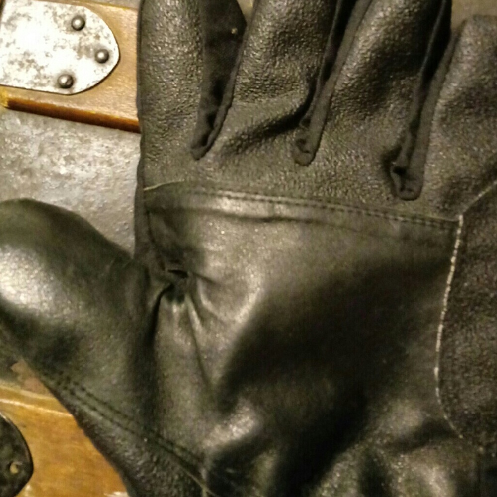 Ski Gloves - image 3