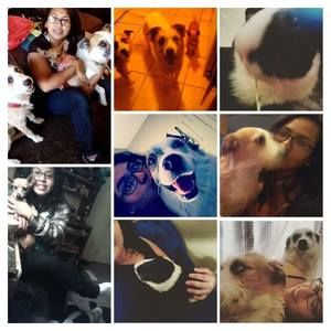 Meet your Posher, Noemi