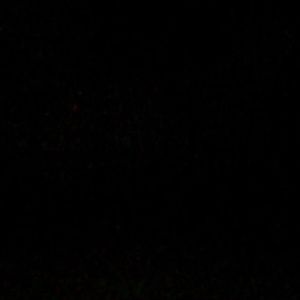 Meet your Posher, Octavio