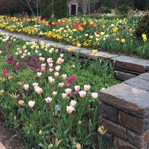 Meet your Posher, Robyn