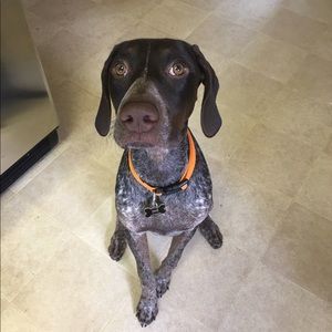 Meet your Posher, Sienna