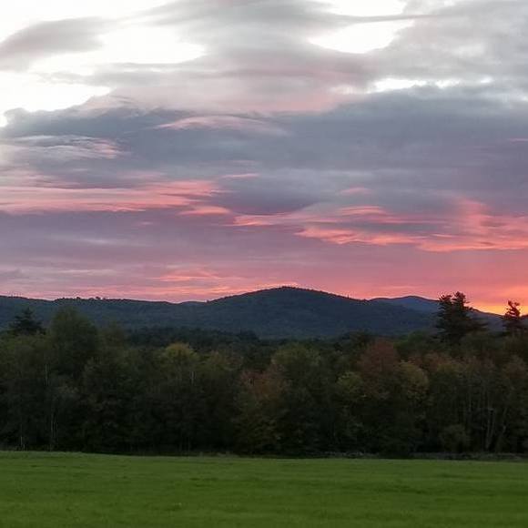 Meet your Posher, Sarah - Picture 1 of 1